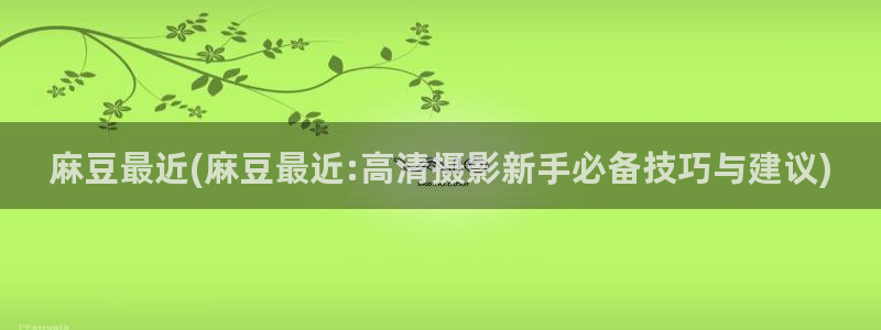 麻豆麻豆：麻豆最近(麻豆最近:高清摄影新手必备技巧与建议)