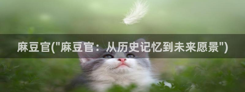 麻豆全集：麻豆官(\