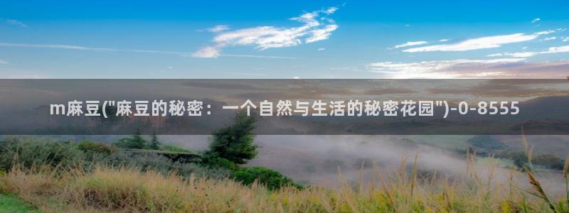 麻豆高清：m麻豆(\