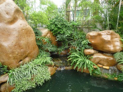 平台动态：糖心VLOG专题更新