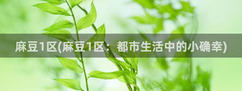sepapa麻豆专区：麻豆1区(麻豆1区：都市生活中的小确幸