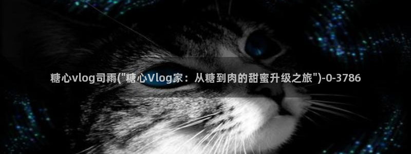 糖心vlog柚子：糖心vlog司雨(\
