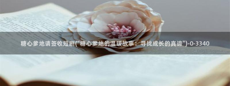心糖vlog怎么下载