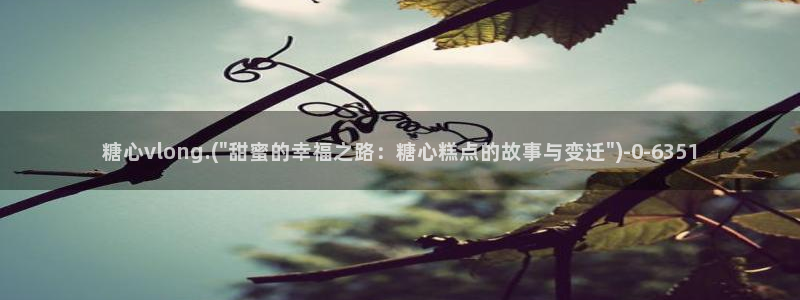 糖心vlog 网站