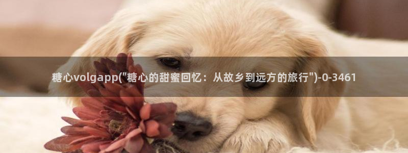 vlog糖心