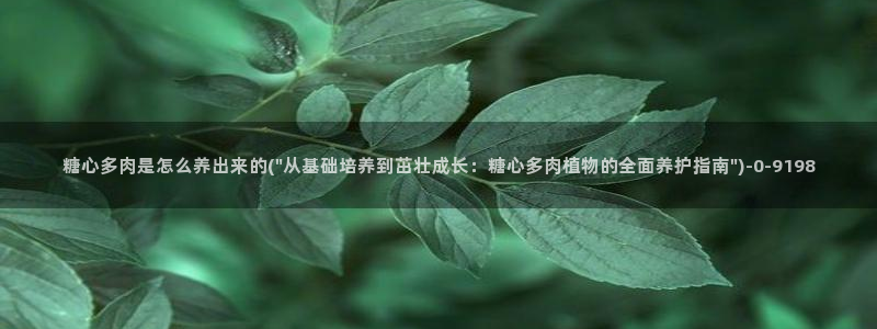 糖心vlog在线观看地址