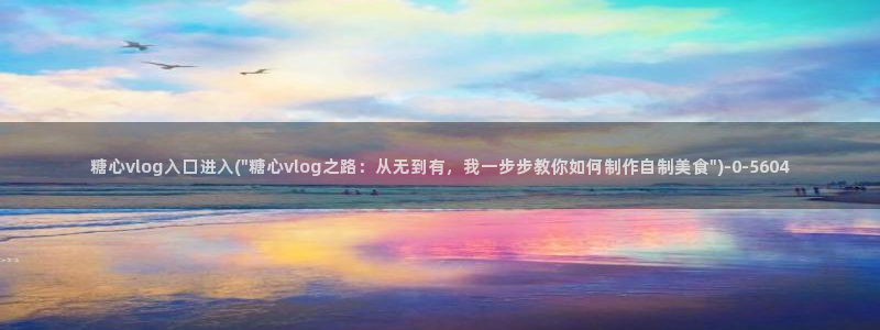 糖心vlog怎么破解